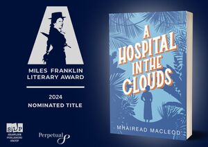 MF24 - Hospital Clouds