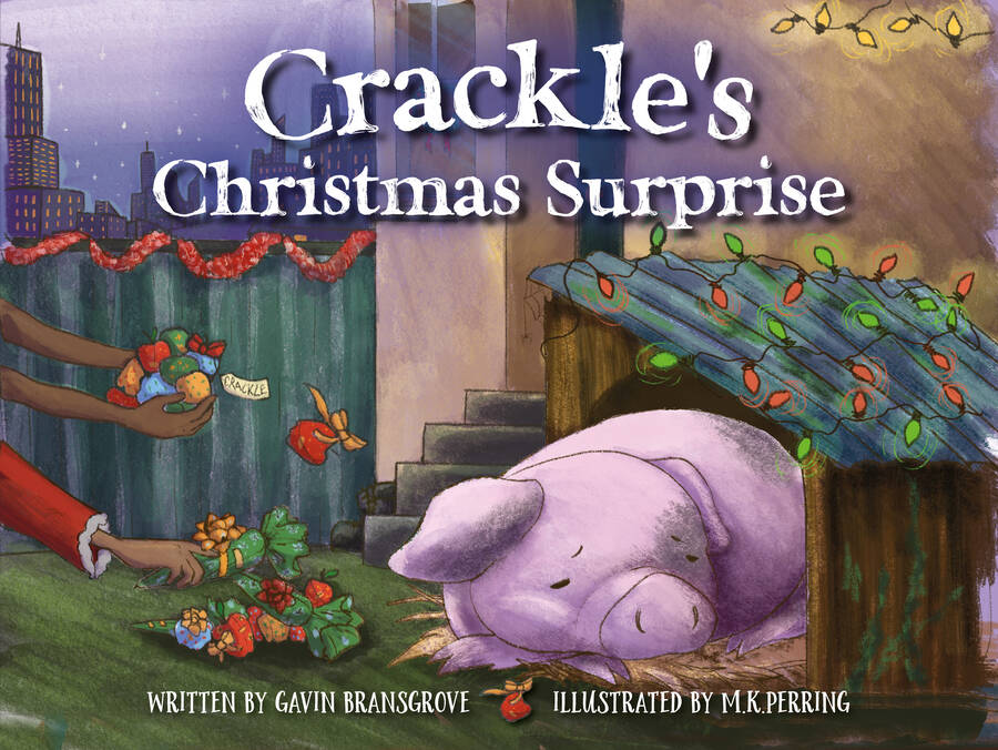 Crackleand39s Christmas Surprise