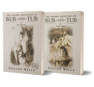 The Amazing Adventures of Bub & Tub Book Bundle
